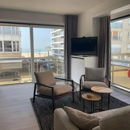 Dzee Frontaal Zeezicht Koksijde