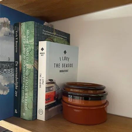 Dzee Frontaal Zeezicht Apartman Koksijde