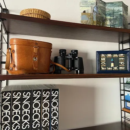 Dzee Frontaal Zeezicht Koksijde