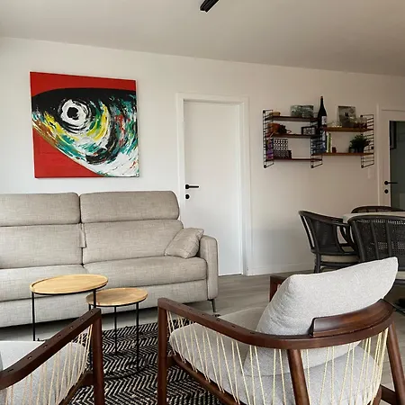 Dzee Frontaal Zeezicht * Koksijde