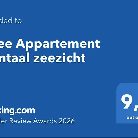 Dzee Frontaal Zeezicht Koksijde